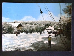 Delcampe - TOSCANA -GROSSETO -MONTE AMIATA -F.G. LOTTO N°651 - Grosseto