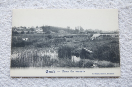 Delcampe - Genck "Dans Les Marais" - Genk