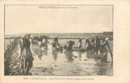 CANCALE LES HUITRES NETTOYAGE D'UN PARC - Cancale