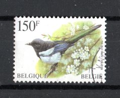 BELGIO  :  Uccelli Di Buzin - Gazza  (Alto Valore)  -  1 Val. Usato  Del.  5.04.1997 - Passeri