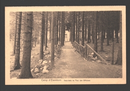 Elsenborn / Camp D'Elsenborn - Sous-Bois Au Parc Des Officiers - Elsenborn (camp)