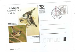 Czech Republic 2020 - World Day Of Sparrows, Social Postal Stationery, Anniversary Day Cancellation - Passeri