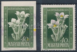 ** 1950 Virág 40f Vágott Bélyeg Fordított és Eltolódott Sárga és Lila Színnyomatokkal / Mi 1113 Imperforate Stamp With I - Sonstige & Ohne Zuordnung