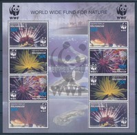 ** 2005 WWF: Korallok 2 és 4 Sort Tartalmazó Kisívek - Sonstige & Ohne Zuordnung