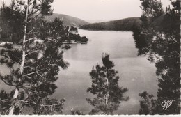 22 - CAUREL - Le Lac De Guerledan - Caurel