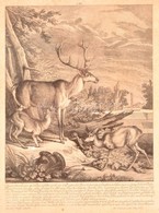 1768 Martin Elias Ridinger (1730-1781): "Dieser Hirsch Von 14 Enden,...", Szarvasok, Rézmetszet, Papír, üvegezett Fa Ker - Estampes & Gravures