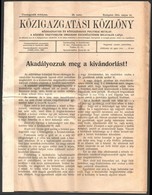 Cca 1880-1910 Hajózással, Tengerentúli Kivándorlással Kapcsolatos Hirdetések, Okmányok, Fotók - Ohne Zuordnung