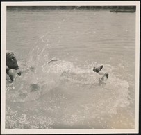 1938 Kinszki Imre (1901-1945) Budapesti Fotóművész Hagyatékából, Jelzés Nélküli Vintage Fotó, A Szerző által Datálva (Du - Autres & Non Classés