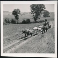 Cca 1936 Kinszki Imre (1901-1945) Budapesti Fotóművész Hagyatékából, Jelzés Nélküli Vintage Fotó (Gőzgép Vontatása), 6,2 - Sonstige & Ohne Zuordnung