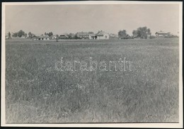 Cca 1935 Kinszki Imre (1901-1945) Budapesti Fotóművész Hagyatékából Pecséttel Jelzett Vintage Fotó, A Szerző által Felir - Autres & Non Classés