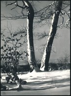Cca 1974 Gebhardt György (1910-1993) Budapesti Fotóművész Hagyatékából 2 Db Vintage Fénykép, Jelzés Nélkül, 23,5x17,5 Cm - Autres & Non Classés