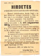 1901 A Vakok Kolozsvári Orsz. Intézetébe Felvételi Hirdetmény 31x42 Cm - Ohne Zuordnung
