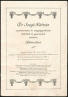 Cca 1909 Dr. Szegő Kálmán Szanatóriuma és Vízgyógyintézete Felnőttek és Gyermekek Számára, Ismertető Prospektus, Képekke - Ohne Zuordnung