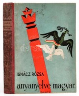 Ignácz Rózsa: Anyanyelve Magyar. Az Ifjúság Számára átdolgozott Kiadás. Kolozsvári Sándor Rajzaival. Bp., 1943, Dante. K - Non Classés