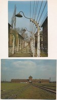 ** 7 Db MODERN Használatlan Képeslap: Auschwitz-Birkenau Koncentrációs Tábor / 7 Modern Unused Postcards: Auschwitz Conc - Sin Clasificación