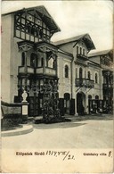 T3 1914 Előpatak-fürdő, Valcele; Gidófalvy Villa. Goldstein Manó Kiadása / Villa (fl) - Non Classés