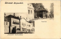 ** T2/T3 Zajzon, Zizin; Concordia Fürdő Szálloda, Vasas Kút / Spa Hotel, Mineral Water Well (EK) - Non Classés