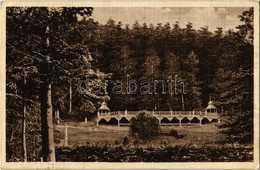 T2 1931 Barlangliget, Höhlenhain, Tatranská Kotlina (Magas Tátra, Vysoké Tatry); Villa Tündérlak / Villa Rusalka - Sin Clasificación