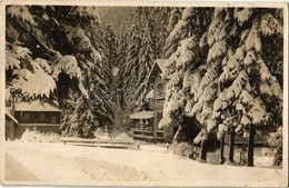 * T2 Körmöcbánya, Kremnitz, Kremnica; Zechenterov-dom / Kunyhók, Nyaralók Télen / Villas, Huts In Winter. Ivanovich Phot - Unclassified