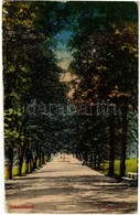 T2/T3 1917 Szliácsfürdő, Szliács, Kúpele Sliac; Ruszegger Sétány. Krompecher Gy. és Fia Kiadása / Park Promenade (ragasz - Non Classés