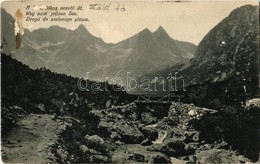 T3 1908 Tátra, Vysoké Tatry; A Zöldtóhoz Vezető út / Droga Do Zielonego Stawu / Road To The Lake (Rb) - Non Classés