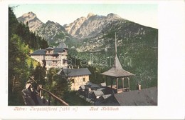 ** T1 Tátra, Vysoké Tatry; Tarpatakfüred, Wildbad Kohlbach - Non Classés