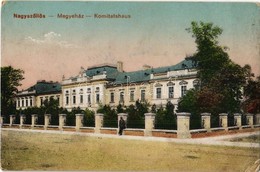 T2/T3 1918 Nagyszőlős, Nagyszőllős, Vynohradiv (Vinohragyiv), Sevljus, Sevlus; Megyeház. Vasúti Levelezőlapárusítás 6445 - Sin Clasificación