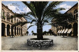 T2 1934 Split, Boticeva Poljana / Square, Palm Tree - Ohne Zuordnung