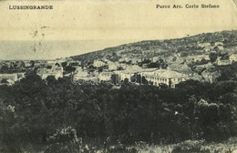 * T3 1912 Veli Losinj, Lussingrande; Parco Arc. Carlo Stefano / General View, Park (tear) - Non Classés