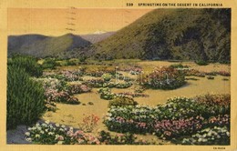 T1/T2 1945 California, Springtime On The Desert - Unclassified