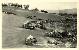 T1/T2 1949 California, Springtime On The Desert - Unclassified