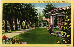 T1/T2 1949 Southern California, A Palm Shaded Walk - Unclassified