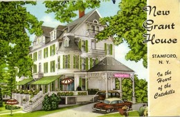 T2/T3 1962 Stamford, N.Y., New Grant House, In The Heart Of The Catskills, Hotel Advertisement (EK) - Non Classés