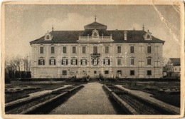 * T3/T4 1918 Neudau, Schloss Neudau / Castle. Verlag Ferdinand Gortan. Fot. S. Frank (EB) - Non Classés