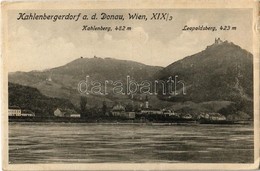 * T2/T3 1922 Wien, Vienna, Bécs XIX. Kahlenbergerdorf A. D. Donau, Kahlenberg, Leopoldsberg / General View (Rb) - Non Classés