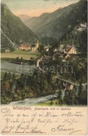 T2 1905 Wildalpen, General View, Bridge. K. Ledermann 4415 C - Non Classés