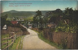 T2/T3 Doboj, Ruinen Schloss Seitenansicht / Pogled Rusevine Sa Strane / Castle Ruins (EK) - Non Classés