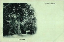 ** T1 Fontainebleau, Le Jupiter / Forest, Horse-drawn Carriage - Ohne Zuordnung