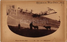 * T2/T3 Nara, Mikasa Mountain, Deer (Rb) - Sin Clasificación