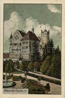 T2/T3 1928 Dischingen, Schloss Taxis (Burg Trugenhofen) / Castle (EK) - Non Classés