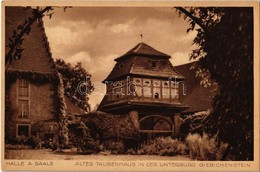 ** T1/T2 Halle An Der Saale, Altes Taubenhaus In Der Unterburg Giebichenstein / Old Pigeon-house In The Castle - Non Classés