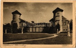 * T2/T3 1925 Rheinsberg, Schloss / Castle (EK) - Non Classés