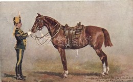 ** T2 Hussar With His Horse, Published By Stewart & Woolf No. 437. S: Harry Payne - Sin Clasificación