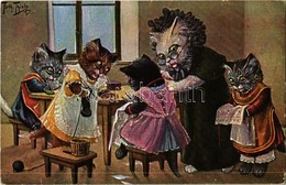 ** T2 Cat Sewing Class. T.S.N. Serie 1879. S: Arthur Thiele - Ohne Zuordnung