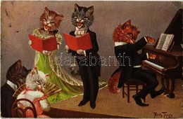 T2/T3 Cat Concert. T.S.N. Serie 1852. S: Arthur Thiele (EK) - Ohne Zuordnung