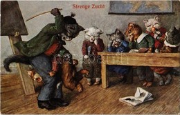 ** T1 Strenge Zucht / Cat Class. T.S.N. Serie 1326. Unsigned Arthur Thiele - Ohne Zuordnung