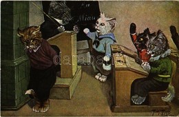 ** T1 Cat Class. T.S.N. Serie 1879. S: Arthur Thiele - Sin Clasificación
