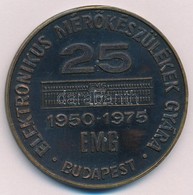 1975. "Elektronikus Mérőkészülékek Gyára - 25 éves" Egyoldalas Fém Emlékplakett, Hátlapon Gravírozva "FOCH JENŐ ELVTÁRSN - Non Classés