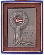 1944. "Ganz T. E. - 1944. III. 15. VI." Zománcbetétes Fém Díjplakett, Hatodik Helyezett Számára, Eredeti Tokban (68x53mm - Unclassified