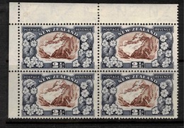 NZ 1935 2 1/2d Mt Cook Lilly Stalk Flaw SG 581ca UNHM #BIR37 - Unused Stamps
